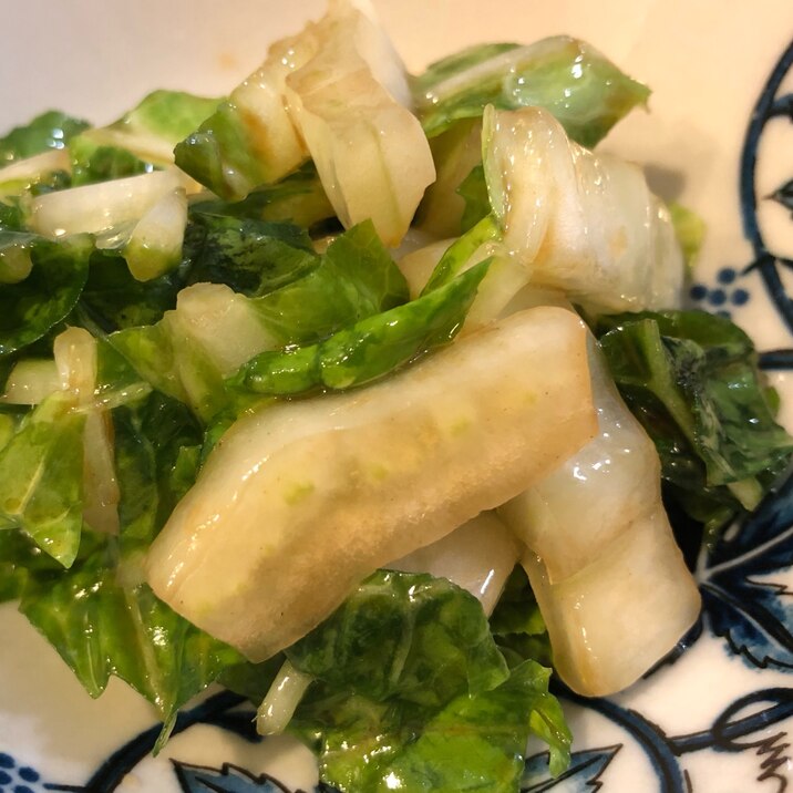 冷たいビールと 白菜を切って混ぜるだけ簡単おつまみ レシピ 作り方 By St1225 楽天レシピ 冷たいビールと 白菜を切って混ぜるだけ簡単おつまみ レシピ 作り方 By St1225 楽天レシピ